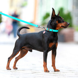 Svetleč vodoodporen povodec »TURKIZEN«, dolžina 305 cm