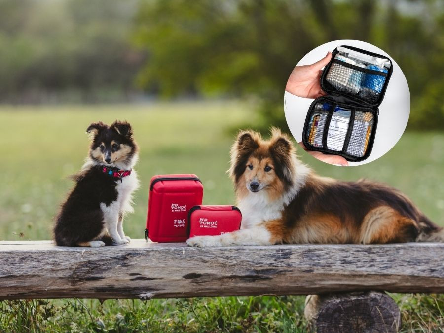 Kompleti prve pomoči za male živali