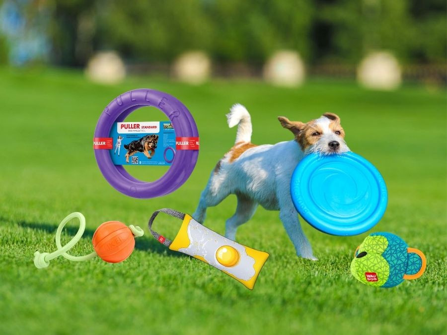 Kakovostne pasje igrače