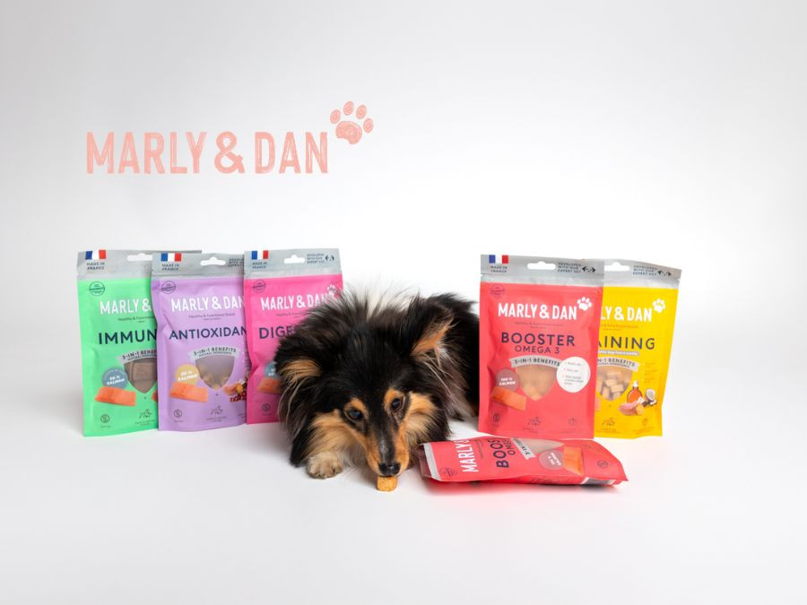 Najboljši priboljški iz lososa!